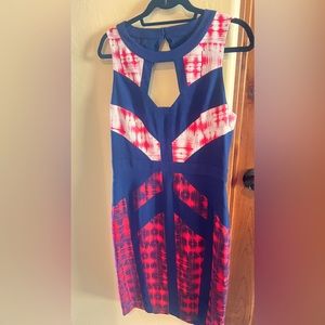 BCBG Averie Red Blue White tank dress cut out zipper Size 12